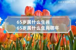 65岁属什么生肖 65岁属什么生肖哪年出生的,65岁的人属什么生肖什么命的