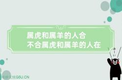 属虎和属羊的人合不合 属虎和属羊的人在一起合不合,属虎跟属羊的合不合