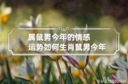 属鼠男今年的情感运势如何 生肖鼠男今年运程,今年属鼠男人财运感情运