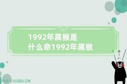 1992年属猴是什么命 1992年属猴是什么命 1992年出生,1992年属猴是属于什么命