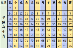 12属相年龄对照表图片,12生肖表年龄对照表