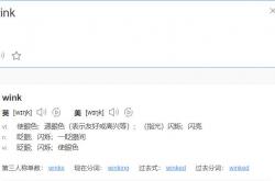 wink什么意思中文翻译