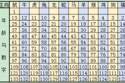 2020年周岁年龄对照表,2020年周岁年龄对照表大全