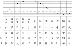 八字的长生十二宫,八字的长生十二宫代表什么