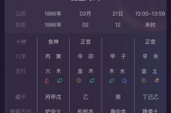 怎么看自己的日支,怎么看自己的日支是什么星