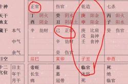 八字自坐是什么意思,八字自坐病是什么意思