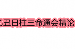 乙丑日柱三命通会精论，乙丑日命中注定的配偶,乙丑日柱人的命运解析