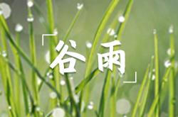 雨水节气的特点和风俗,雨水节气的特点和风俗视频