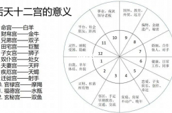 星盘12宫位各代表的意义