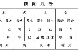 八字中有辰卯合,辰卯什么关系,辰卯是什么意思