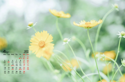 4月是什么月份 4月有什么节日,4月是什么月,有几天