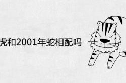 1998年虎和2001年蛇相配吗