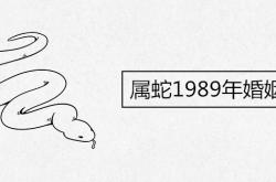 属蛇1989年婚姻状况