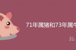 71年属猪和73年属牛婚姻匹配合不合