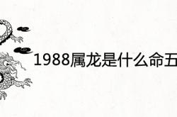 1988属龙是什么命五行属相