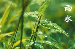 夏至节气的特点和风俗,夏至节气的特点和风俗图片