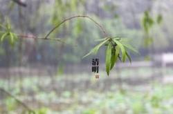 为什么谷雨会下雨 谷雨下雨好不好,为什么有谷雨这个节气