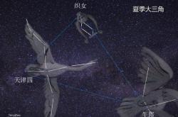 牛郎星是哪个星座