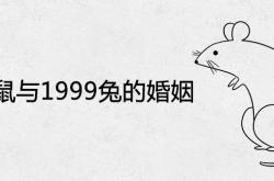 1996鼠与1999兔的婚姻如何