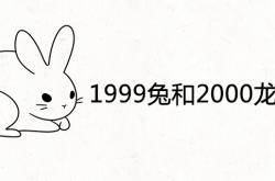 1999兔和2000龙好不好