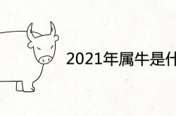 2021年属牛是什么命