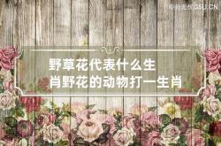 野草花代表什么生肖 野花的动物打一生肖,野花指的是什么生肖