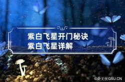 紫白飞星开门秘诀 紫白飞星详解,紫白飞星择日使用方法表图