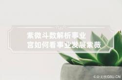 紫微斗数解析事业宫如何看事业发展 紫薇命盘事业宫详解,事业宫在紫薇