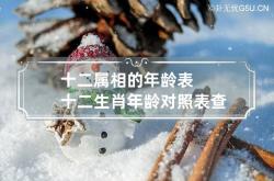 十二属相的年龄表 十二生肖年龄对照表查询,12生肖属相年龄表