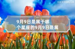 9月9日是属于哪个星座的 9月9日是属于哪个星座的生日,9月9日是什么星座阳历