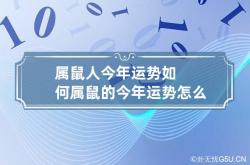 属鼠人今年运势如何 属鼠的今年运势怎么样2023,属鼠今年运势怎么样2021