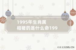 1995年生肖属相猪的是什么命 1995年属猪是什么命 属猪的人命运