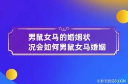 男鼠女马的婚姻状况会如何 男鼠女马婚姻好不好,男鼠女马婚配最终会怎么样最新网