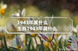 1943年属什么生肖 1943年属什么生肖今年多大,1943年的属相是什么生肖