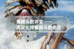 紫微斗数讲堂——天梁化禄 紫微斗数命宫天梁化科