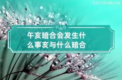 午亥暗合会发生什么事 亥与什么暗合,午亥暗合合化成什么了