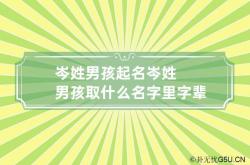 岑姓男孩起名 岑姓男孩取什么名字里字辈,岑氏男孩取名