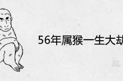 56年属猴一生大劫年及后半生命运