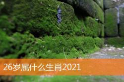 26岁属什么生肖2021