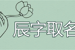 辰字取名含义