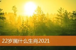 22岁属什么生肖2021