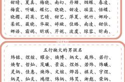 猪宝宝起名缺金取什么名字(女孩缺金取金字旁名字)