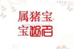 给猪宝宝起名字用什么字(猪宝宝起名大全)