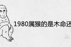 1980年属猴的是木命还是金命