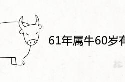 61年属牛60岁有一灾是怎么回事