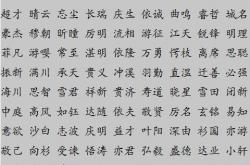 宝宝起名要什么名字好呢(2014年蛇宝宝起名四字名字大全)