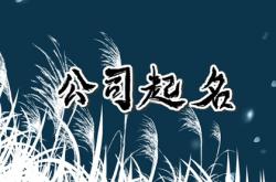 服饰名字大全好听有创意