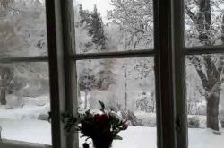 梦见窗外下雪