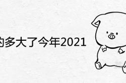 95年的多大了今年2021周岁和虚岁查询