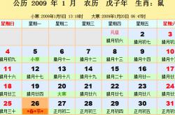 2009年日历表_2009年农历阳历表